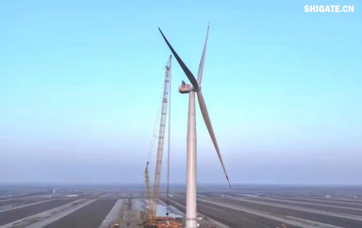 1月11日，全球最大功率等級的漂浮式風電機組——中國中車“啟航號”在山東東營風電裝備測試認證創(chuàng)新基地吊裝成功，標志著我國在海上超大型風機的探索邁出重要一步。該項目風電機組的配套塔筒是全球直徑最大、重量最重的塔筒型號，所用鋼板由河鋼集團舞鋼公司獨家提供。  微信圖片_20250220083217.jpg  舞鋼公司深入貫徹集團要求，以客戶需求為導向，大力開展技術營銷，不斷優(yōu)化營銷方案，通過提供“一攬子”解決方案，滿足高端客戶對高品質產(chǎn)品和未來發(fā)展的需求，加速由生產(chǎn)型向“制造+服務”型企業(yè)轉變。該項目對產(chǎn)品抗沖擊性能及表面質量有著極為嚴苛的要求，且交貨期較短，生產(chǎn)難度相當大。為確保合同順利交付，舞鋼公司產(chǎn)線各單位協(xié)同聯(lián)動，強化工藝和生產(chǎn)過程控制，攻克了高強度與高延伸率匹配、低溫沖擊韌性匹配等一系列技術難題，確保了產(chǎn)品各項指標全部滿足客戶要求，并按期交付客戶。  微信圖片_20250220083224.jpg  “啟航號”20MW漂浮式海上風電塔筒是專門為20MW及以上海上漂浮式風機提供系統(tǒng)解決方案而設計的，是全球最大功率漂浮式風電機組的配套塔筒，總高度為141.15米，最大直徑12米，重量達到了1576噸。