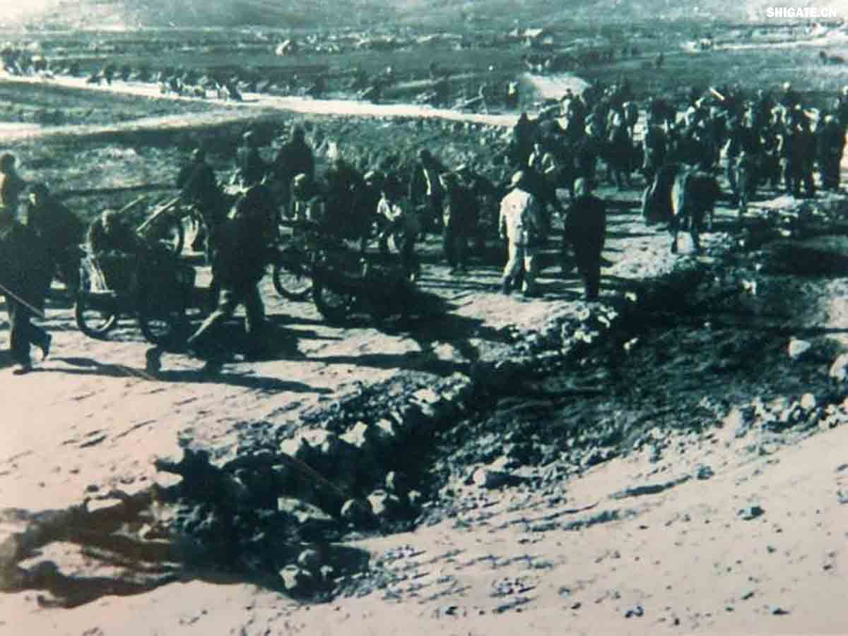 平（平頂山）舞（舞陽）會(huì)戰(zhàn)